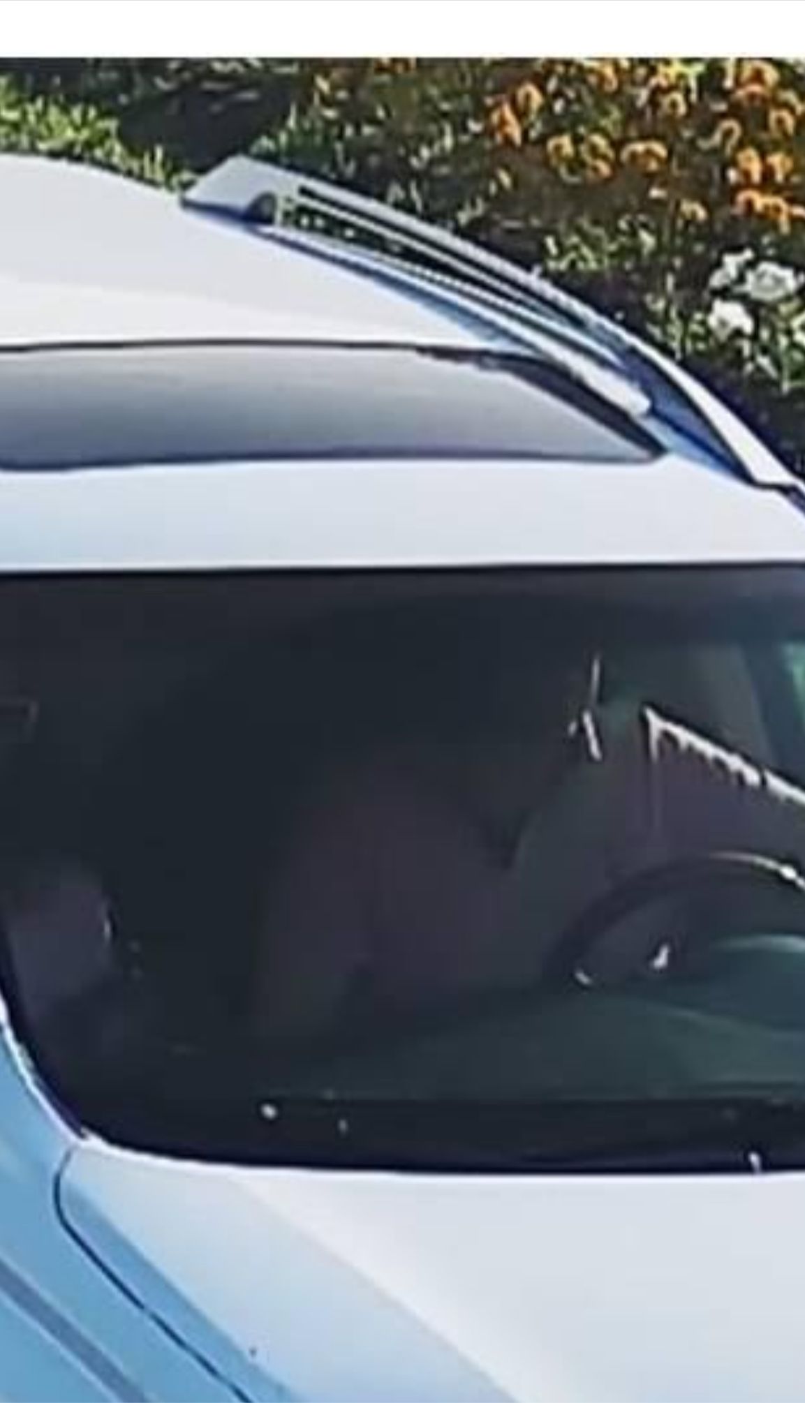 Дообучение ИИ