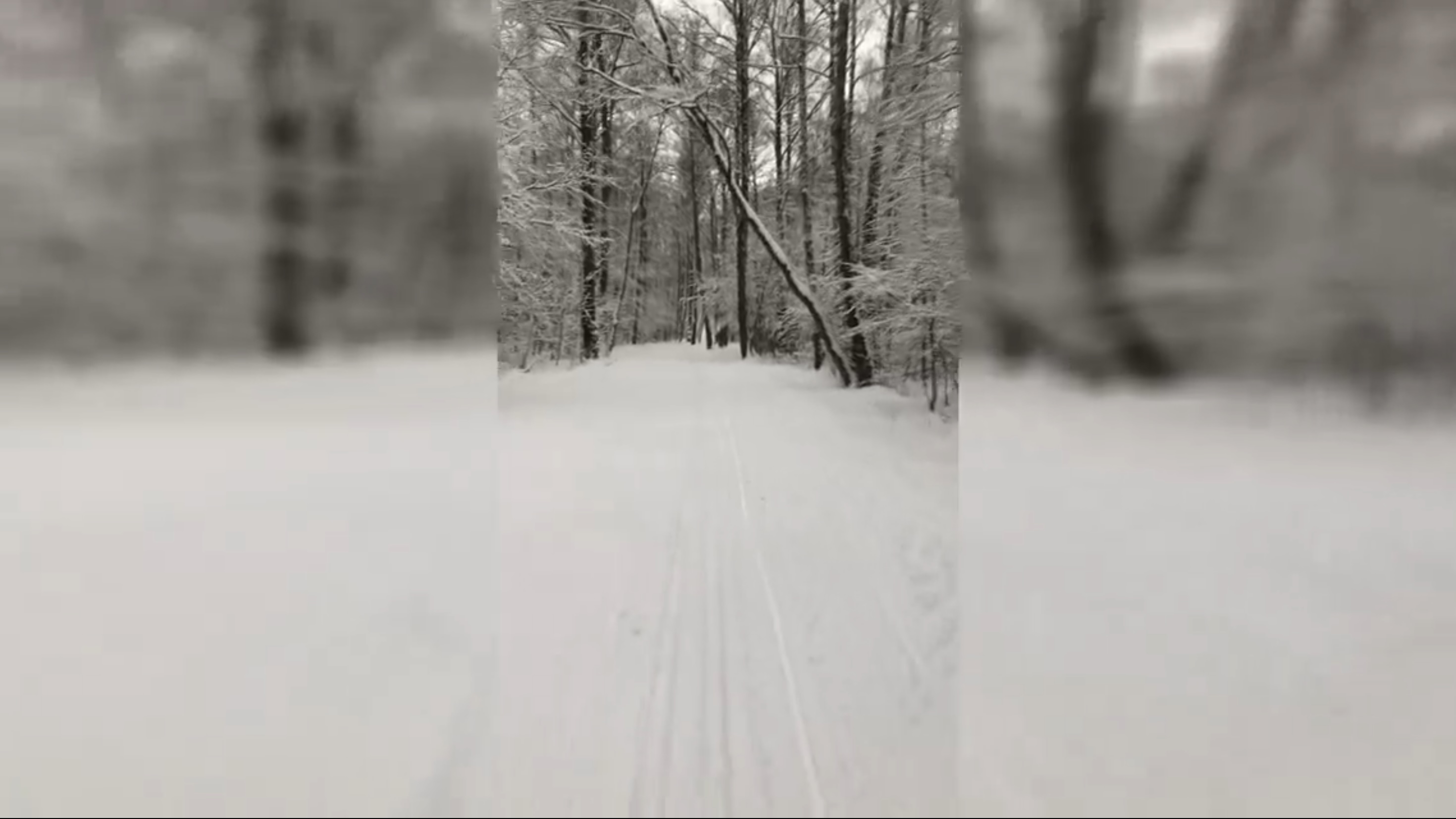 Пятничная прохлада